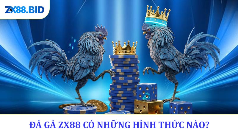 Đá Gà ZX88 Có Những Hình Thức Nào?