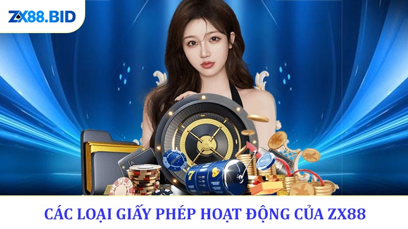 Các loại giấy phép hoạt động điển hình của ZX88