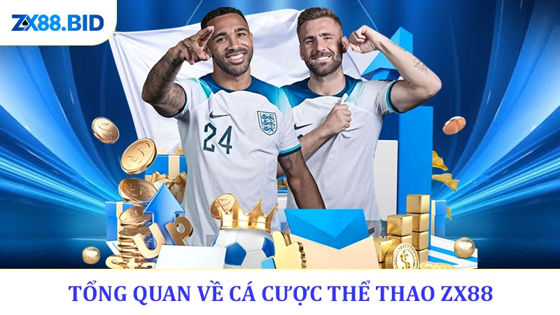 Tổng Quan Về Cá Cược Thể Thao ZX88